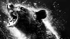 COCAINE BEAR: Check Out The First Poster For Elizabeth Banks' Insane-Sounding True Story