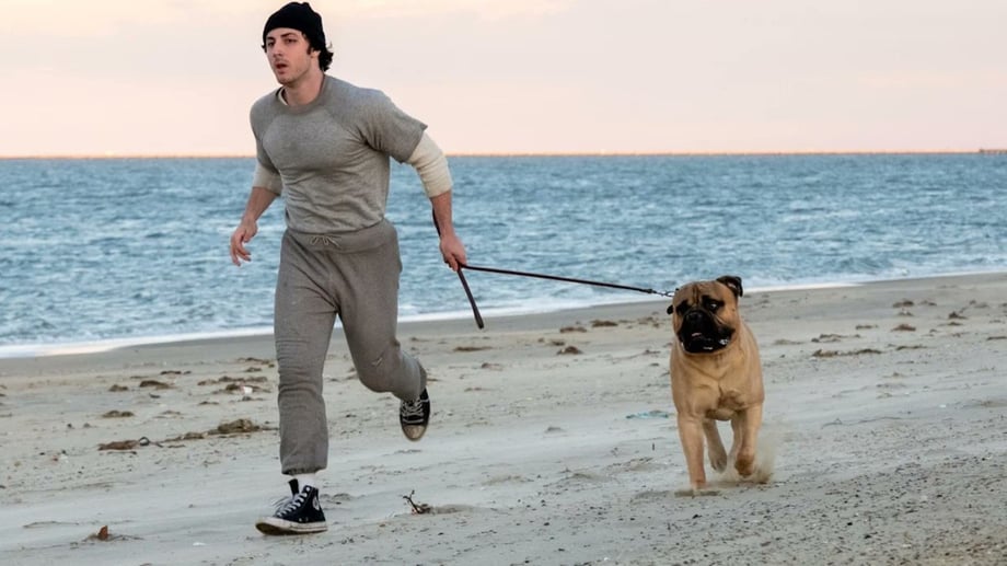 I Play Rocky: Anthony Ippolito Plays A Young Sylvester Stallone In Fist-Punching First Trailer